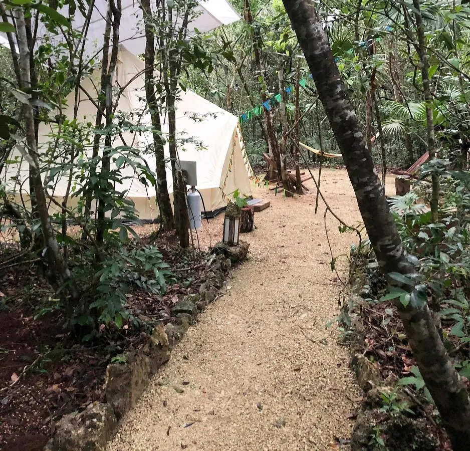 Glamping Mama Loo Mm Hotel Puerto Morelos Mexico