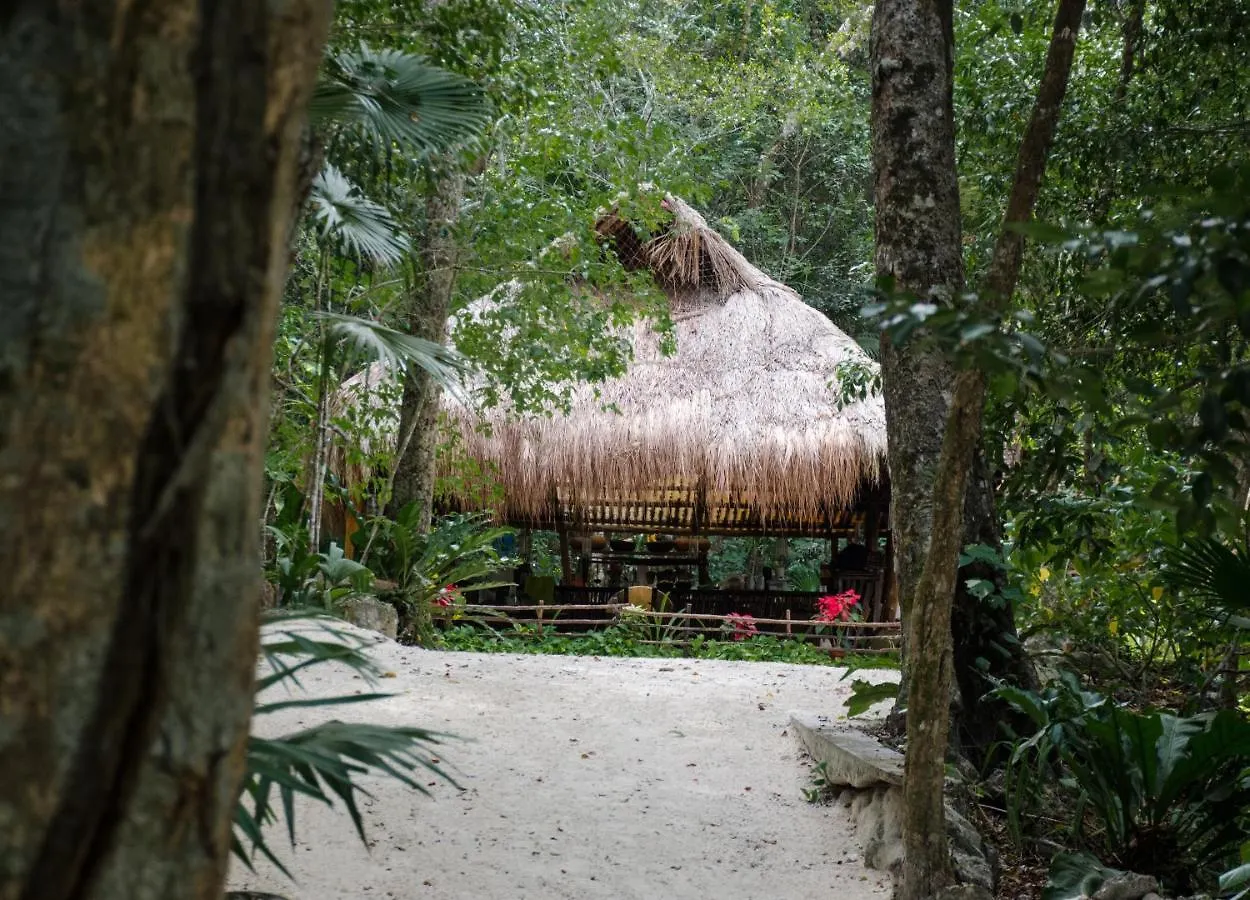 Luxury tent Glamping Mama Loo Mm Hotel Puerto Morelos