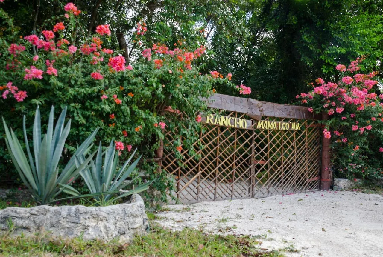 Luxury tent Glamping Mama Loo Mm Hotel Puerto Morelos