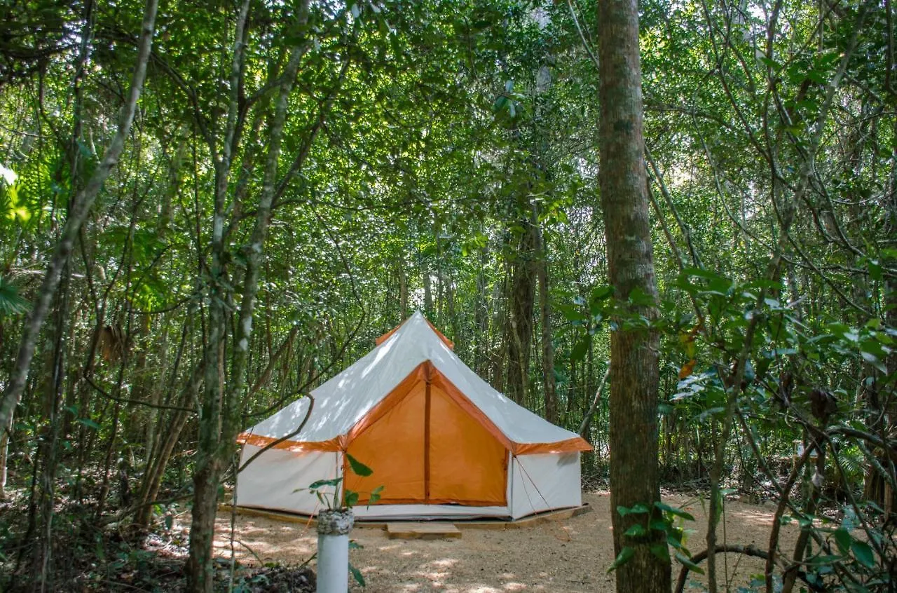 Glamping Mama Loo Mm Hotel Puerto Morelos 3*,