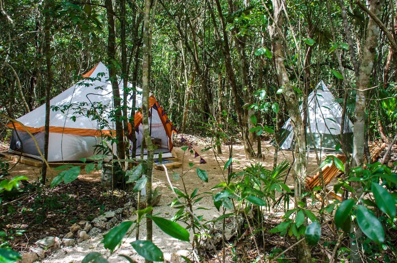 Glamping Mama Loo Mm Hotel Puerto Morelos