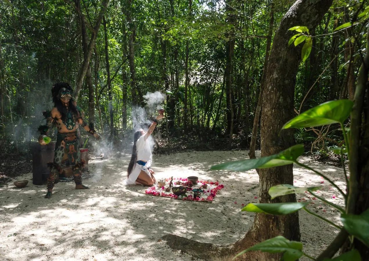 Glamping Mama Loo Mm Hotel Puerto Morelos